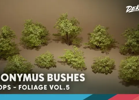 植物图鉴 第5辑 - 卫矛灌木丛 Foliage VOL.5 - Euonymus Bushes