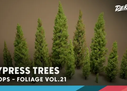 绿植特辑 第21期 - 柏树 Foliage VOL.21 - Cypress Trees