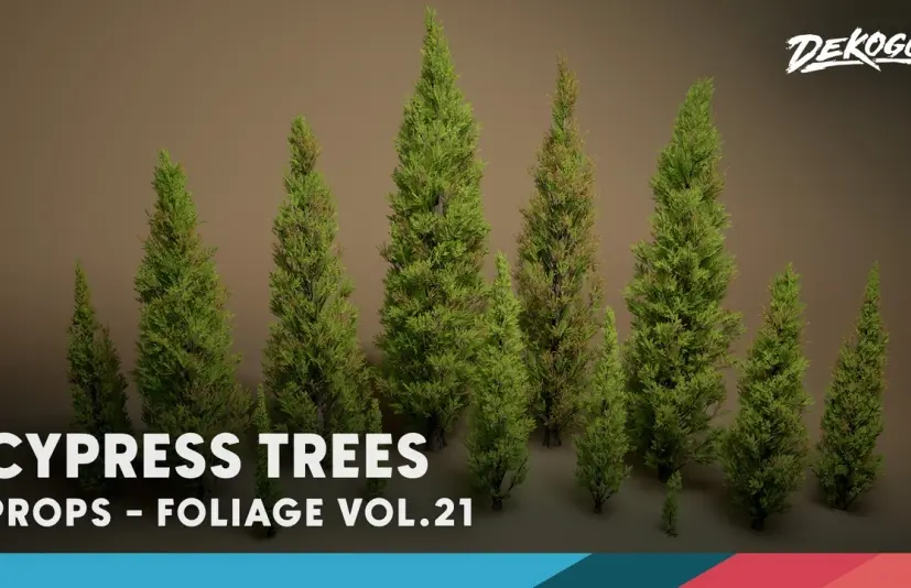 绿植特辑 第21期 - 柏树 Foliage VOL.21 - Cypress Trees