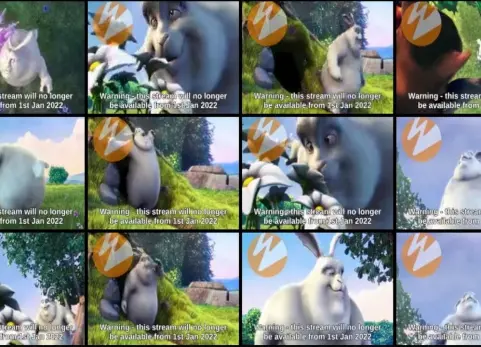 网络摄像头 Web Camera