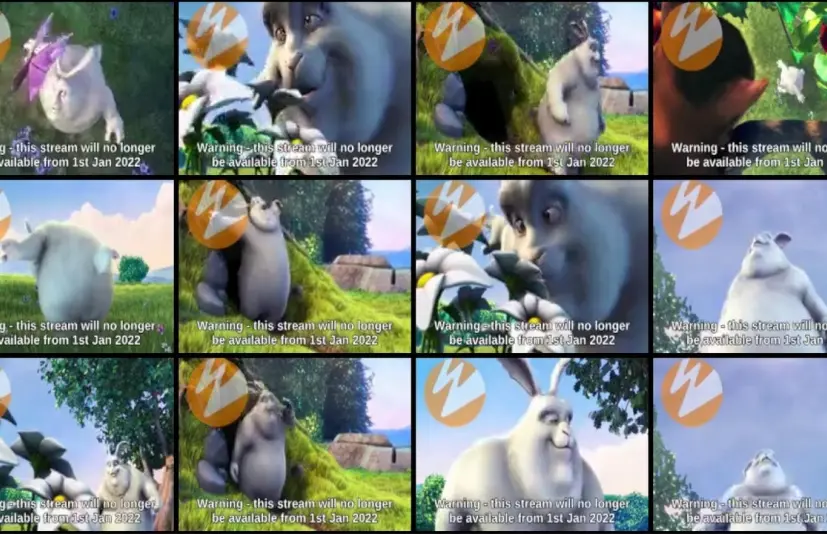 网络摄像头 Web Camera