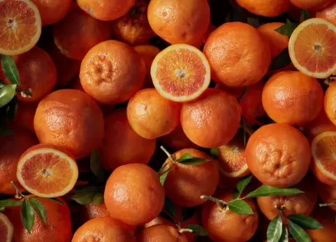 我的橘子 - My Oranges