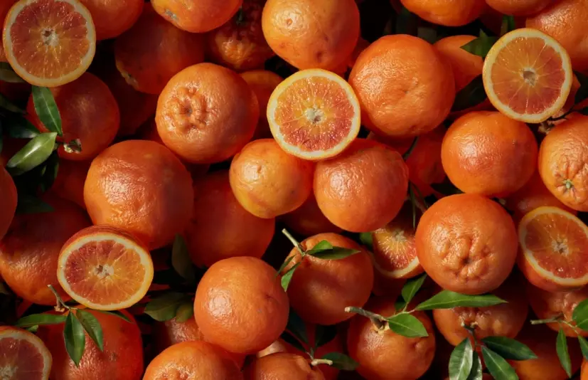 我的橘子 - My Oranges