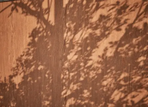 木材01 - 扫描摄影测量材料 - Wood 01 - Scanned Photogrammetry Materials