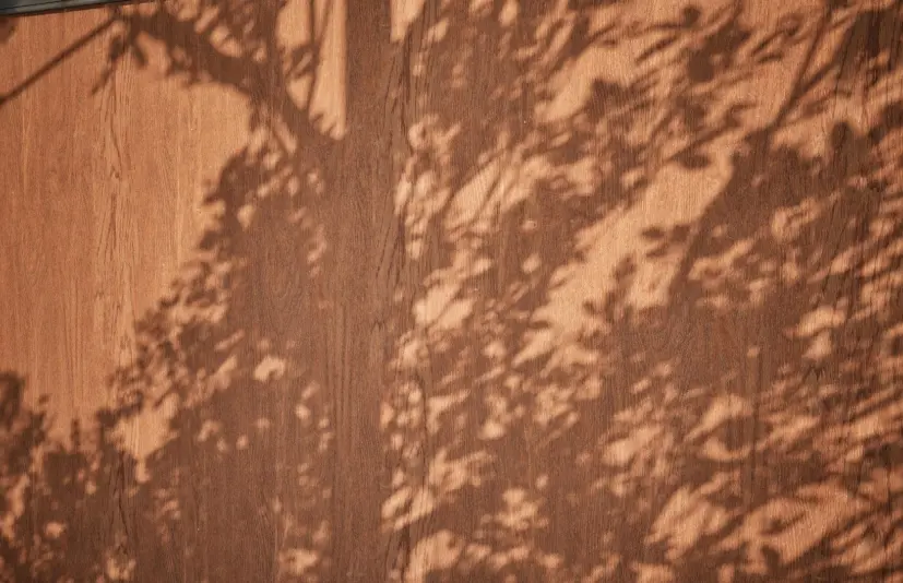 木材01 - 扫描摄影测量材料 - Wood 01 - Scanned Photogrammetry Materials