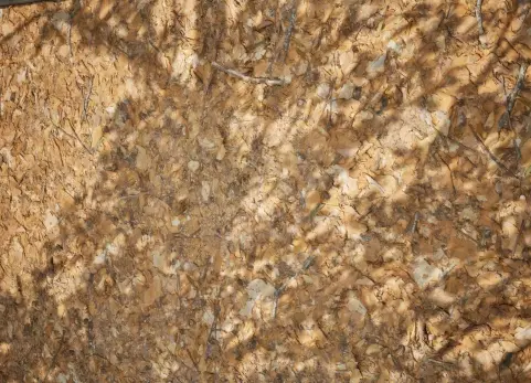 场地01 - 摄影测量扫描素材 - Ground 01 - Scanned Photogrammetry Materials