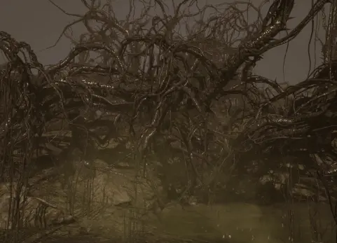 尖刺森林 - Forest Of Spikes