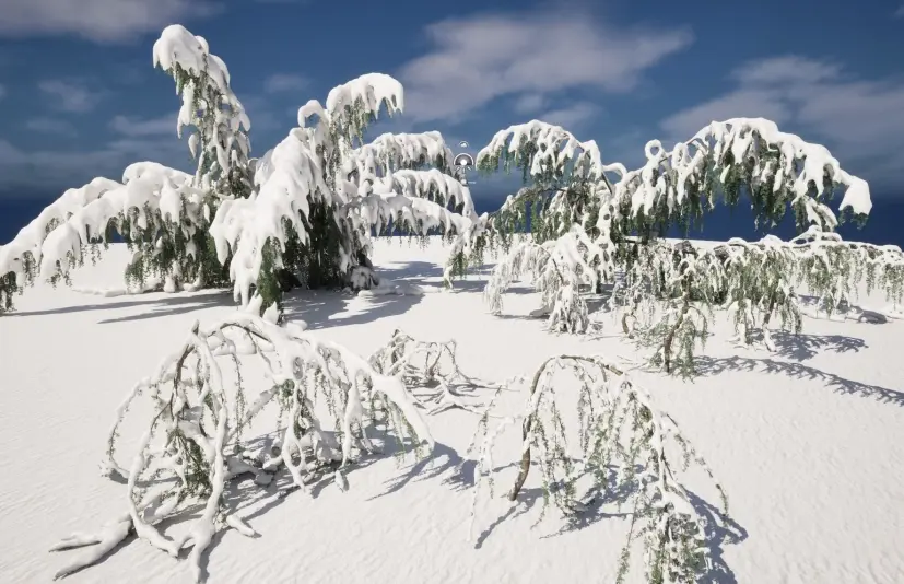 冬季雪花植物 - 大西洋雪松 Winter Snow Plants - Cedrus atlantica Glauca Pendula – Atlas