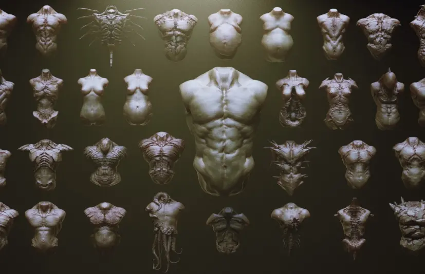 ARMS - 33款角色与生物手臂 Zbrush插入网格笔刷 ARMS - 33 Character & Creature arms Zbrush Insertmesh Brush