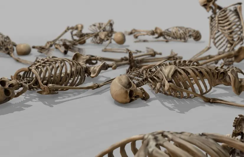 模块化人体骨骼 - Modular Human Skeleton