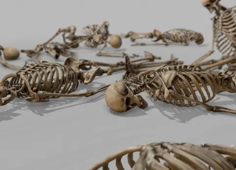 模块化人体骨骼 - Modular Human Skeleton
