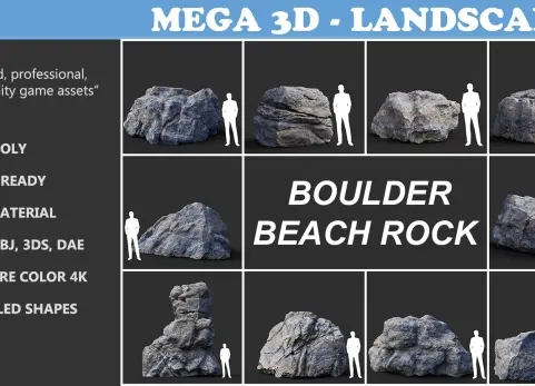 灰色巨石海滩岩石藏品 210110 - Gray Boulder Beach Rock Collection 210110