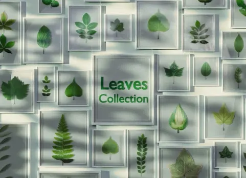Blender叶子纹理合集包 - Leaves Collection