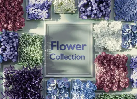 花卉系列 - Flowers Collection