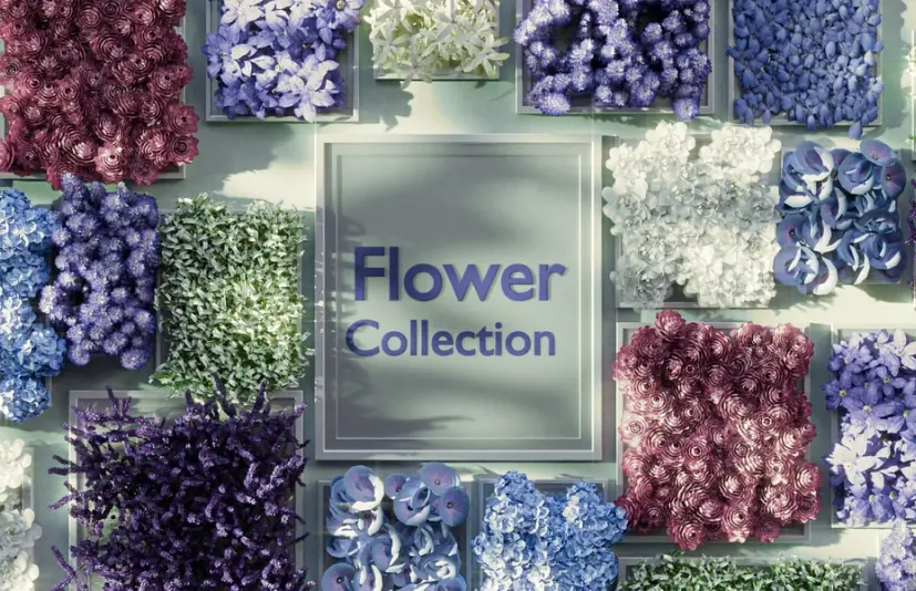 花卉系列 - Flowers Collection