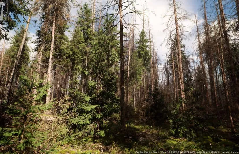MW 枯萎云杉森林树群系 - MW Dead Spruce Forest Trees Biome