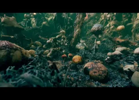 外星生长环境 - Alien Growth Environment