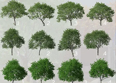 普通树木包 Ordinary Tree Pack