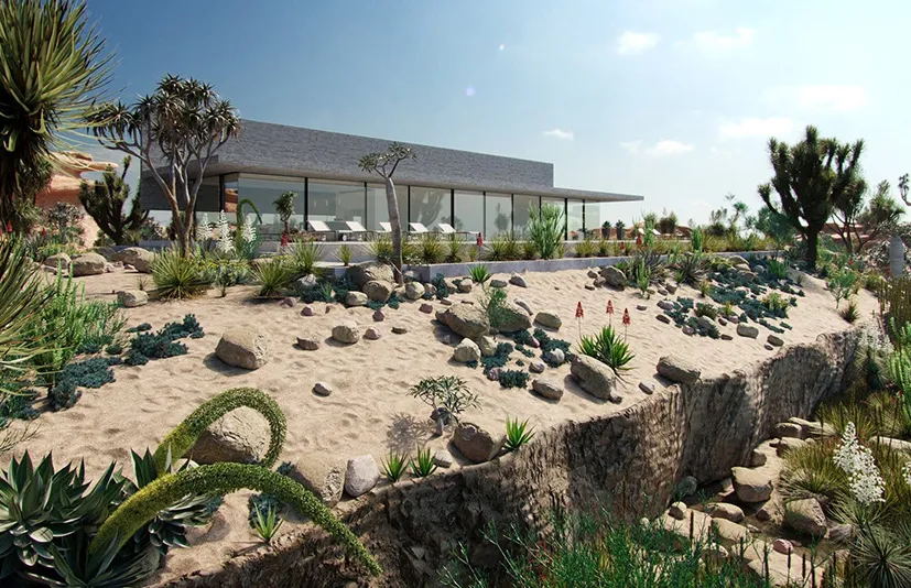 沙漠花园植物捆绑包 - Bundle 11 - Desert Garden Plants