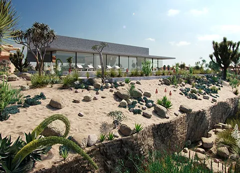 沙漠花园植物捆绑包 - Bundle 11 - Desert Garden Plants