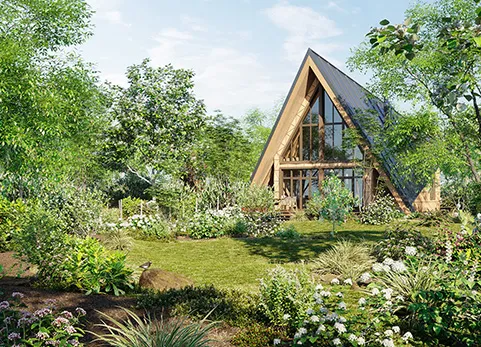 北美家庭和花园植物 - Bundle 29 North American Home & Garden 02