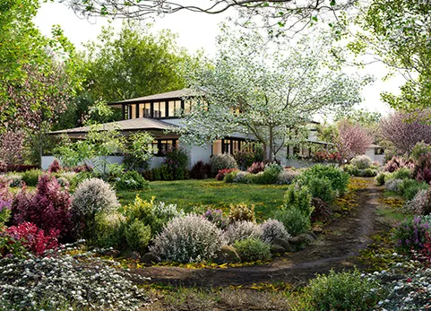 北美家庭和花园植物 - Bundle 27 North American Home & Garden 01