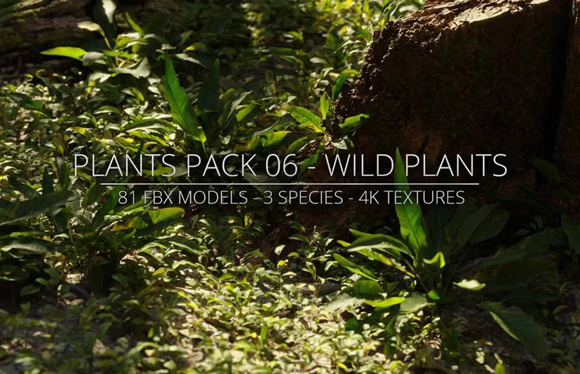 野生花草植物 - 3D Plants Pack 06 - Wild Plants