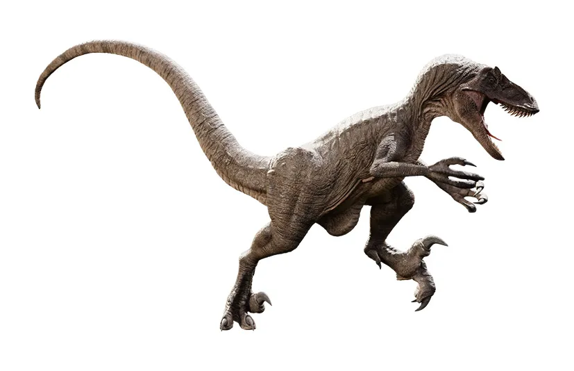 迅猛龙恐龙3D模型 逼真且已绑定骨骼 Raptor Dinosaur 3D Model Realistic And Rigged