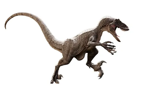 迅猛龙恐龙3D模型 逼真且已绑定骨骼 Raptor Dinosaur 3D Model Realistic And Rigged