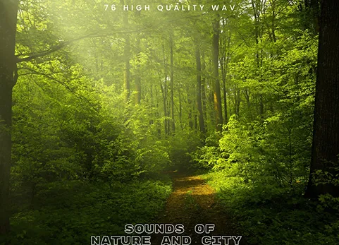 城市大自然声音音效 - Sound Of Nature and City SFX Pack