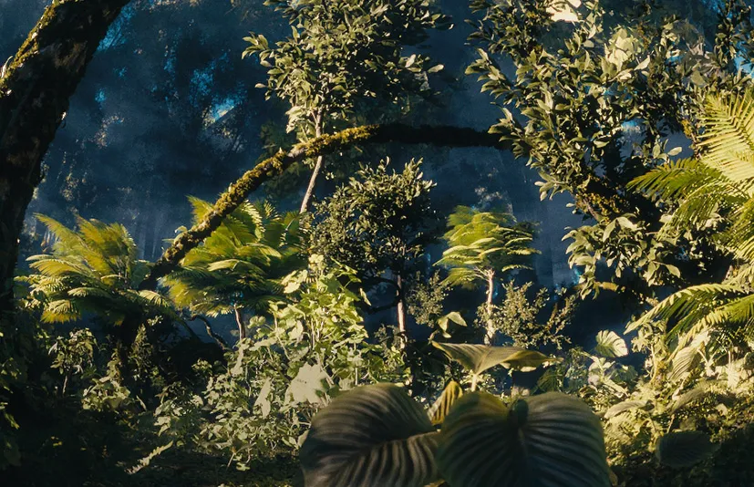 Blender资源库 Forest Generator 照片级真实森林生成器丛林景观