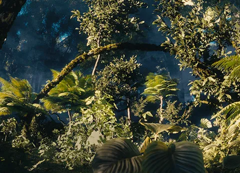 Blender资源库 Forest Generator 照片级真实森林生成器丛林景观