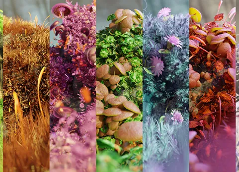 Mossify | 终极苔藓库 Mossify Full