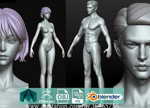 ArtStation - Rigged Fantasy slim girl man male Base female anatomy wom