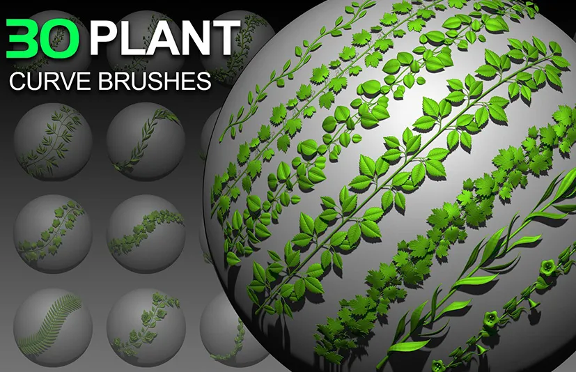 30支笔刷植物曲线 - 30 Plant Curve Brushes
