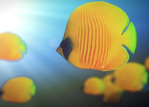 Blender鱼群生成模拟插件 Fish Generator