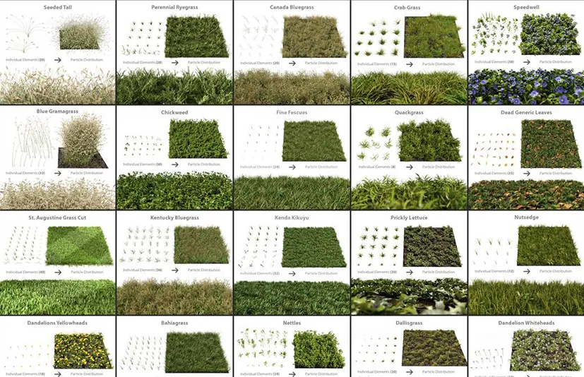 植物草资产包-Blender Guru：The Grass Essentials