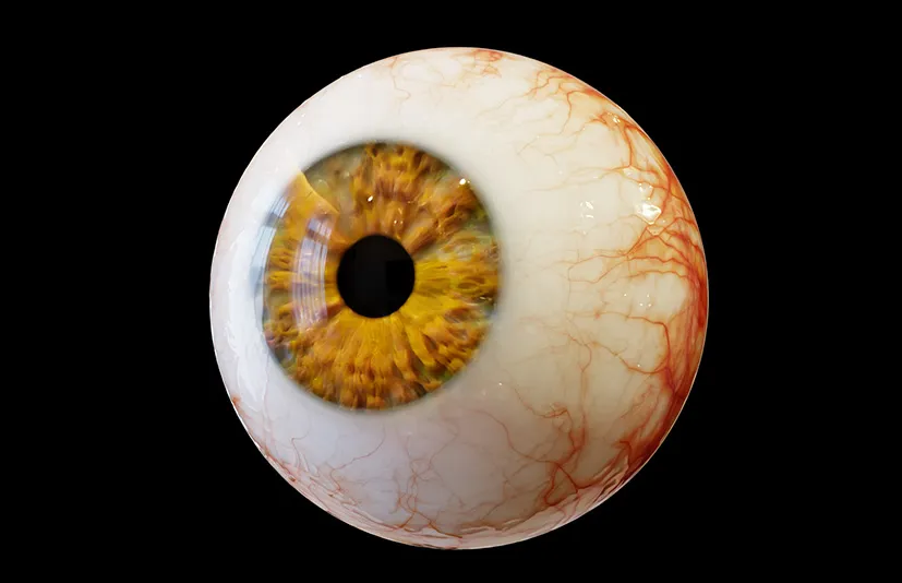 Blender写实眼球生成器 - Photorealistic Eye Generator