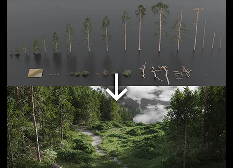 Blender植物树木模型资产预设 Dynamic Pine Biomes