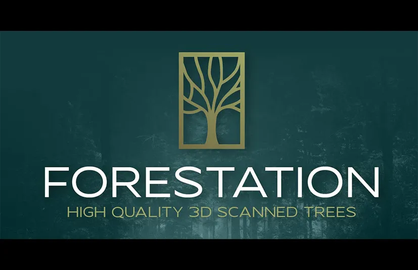 Blender3D扫描树木插件 - Forestation v1