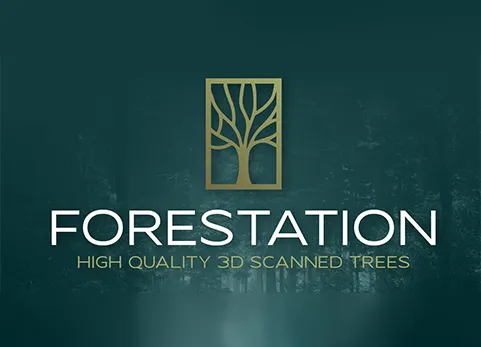 Blender3D扫描树木插件 - Forestation v1