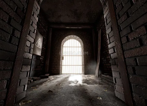 地窖/酒窖-Root Cellar