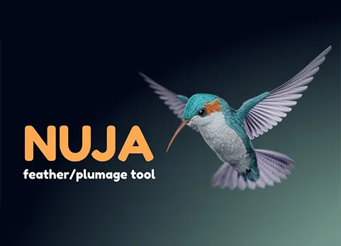 Blender羽毛模拟生成插件 - Nuja - Feather And Plumage Tools 1.0