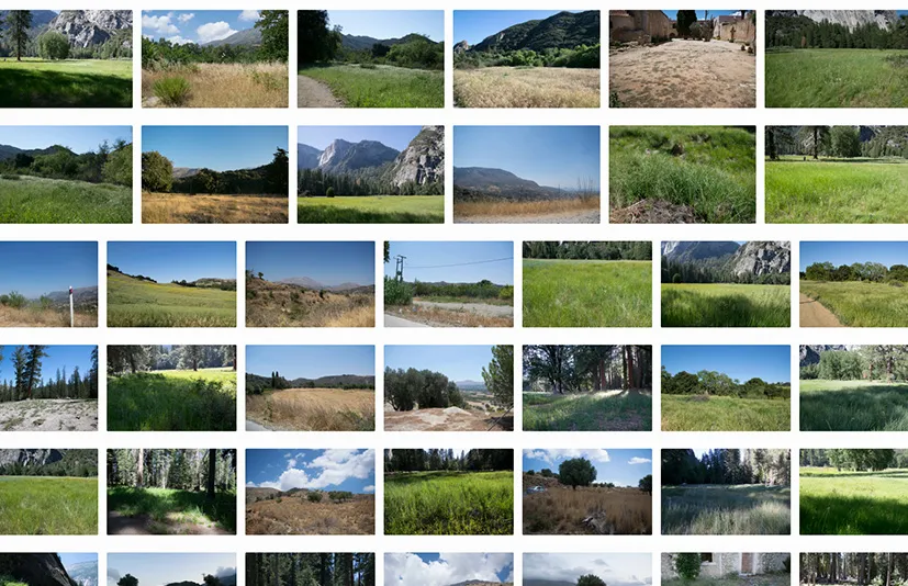 草地 - grass photo pack