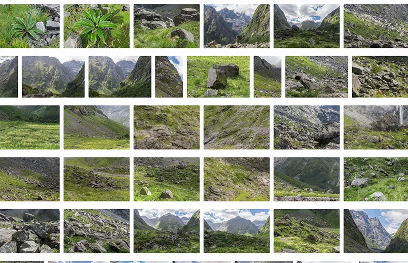 绿谷 - Green Valley