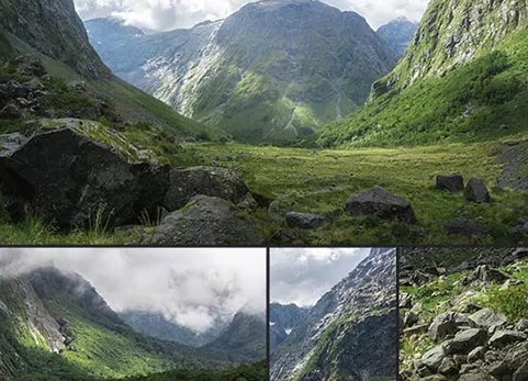 绿谷 - Green Valley