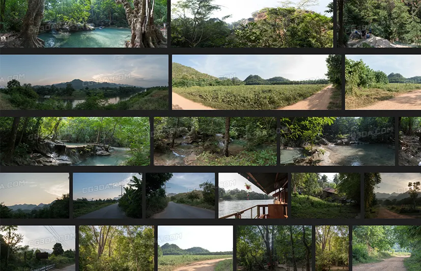 丛林-Jungles 1