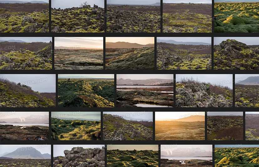 苔藓覆盖的平原-Mossy Flatlands