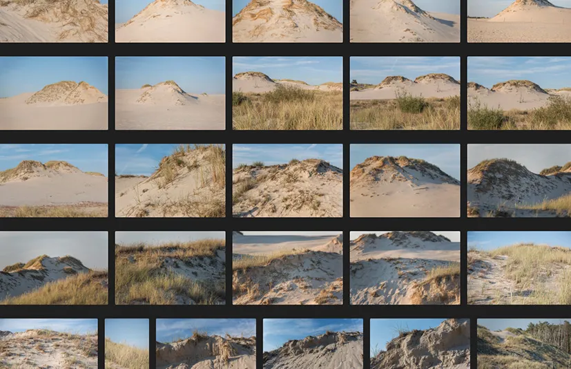 沿海沙丘 - Coastal Dunes