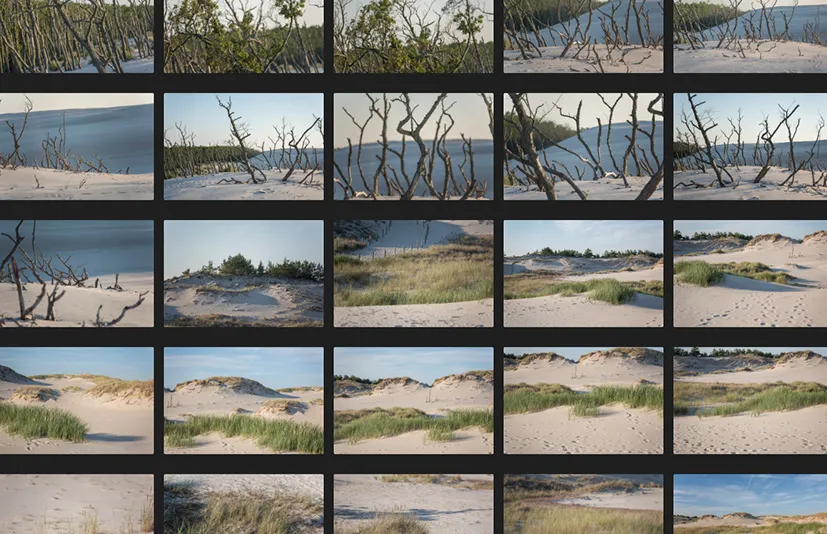沿海沙丘 - Coastal Dunes